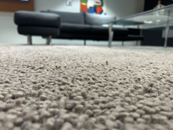 Nalesco Mix 36 (UC) - Ventura Carpets - 400x400 cm - Afbeelding 3